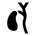 gallbllader