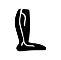 varicose viens
